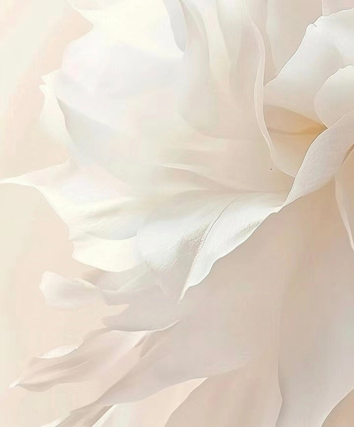 A close-up image of a white flower, showcasing its delicate petals under soft light. The floral image captures the intricate textures and layers of the petals, creating a romantic and ethereal feel.